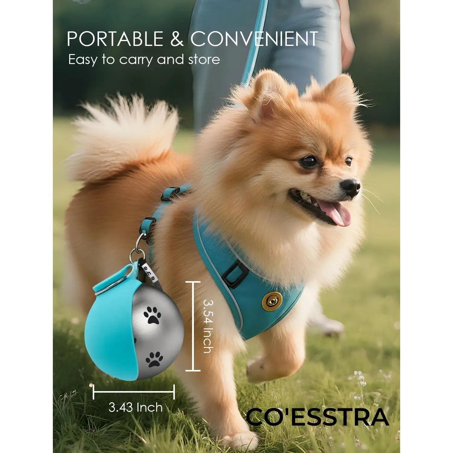 Stainless Pet Water Bottle with Drinking Basin — 285Ml Leak-Proof Travel Bottle for Dogs & Cats Perfect for Walks, Road Trips & Outdoor Play